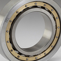 Cylindrical Roller Bearings