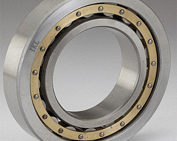 Cylindrical Roller Bearings